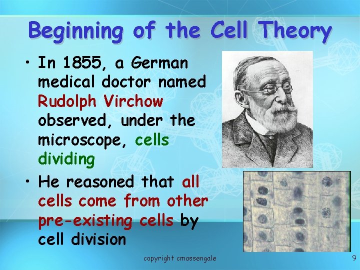 Beginning of the Cell Theory • In 1855, a German medical doctor named Rudolph