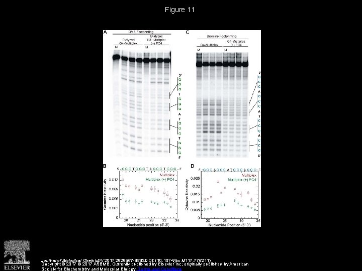 Figure 11 Journal of Biological Chemistry 2017 2929567 -9582 DOI: (10. 1074/jbc. M 117.