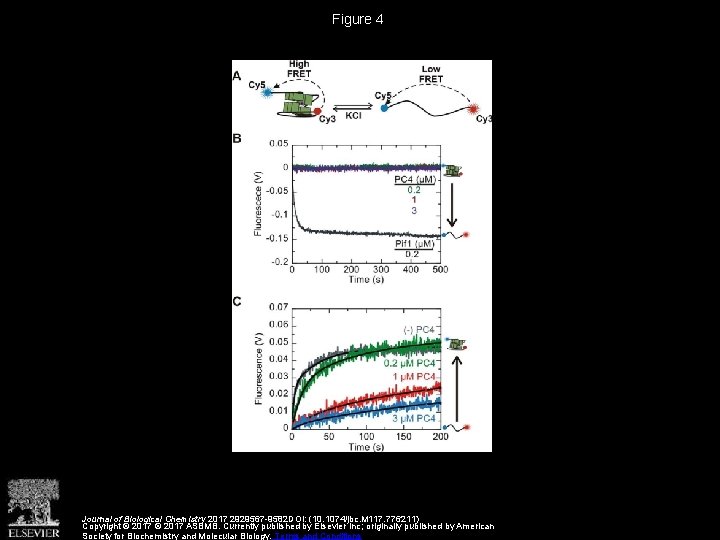 Figure 4 Journal of Biological Chemistry 2017 2929567 -9582 DOI: (10. 1074/jbc. M 117.