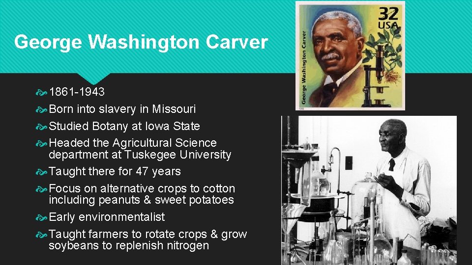 George Washington Carver 1861 -1943 Born into slavery in Missouri Studied Botany at Iowa