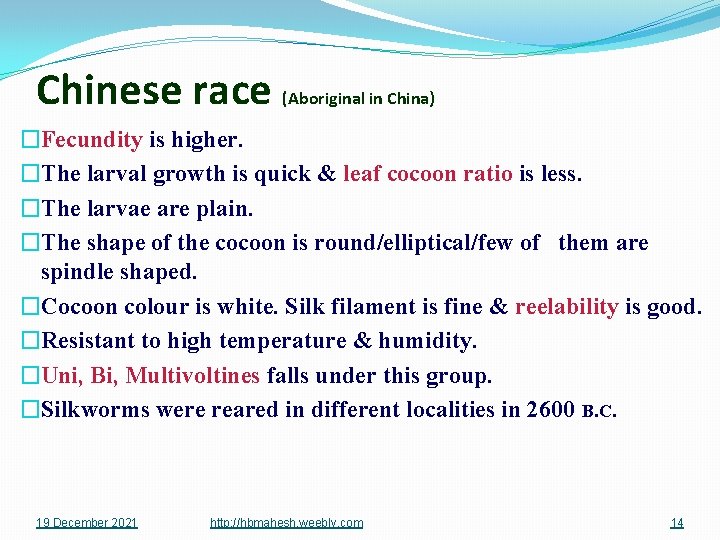 Chinese race (Aboriginal in China) �Fecundity is higher. �The larval growth is quick &