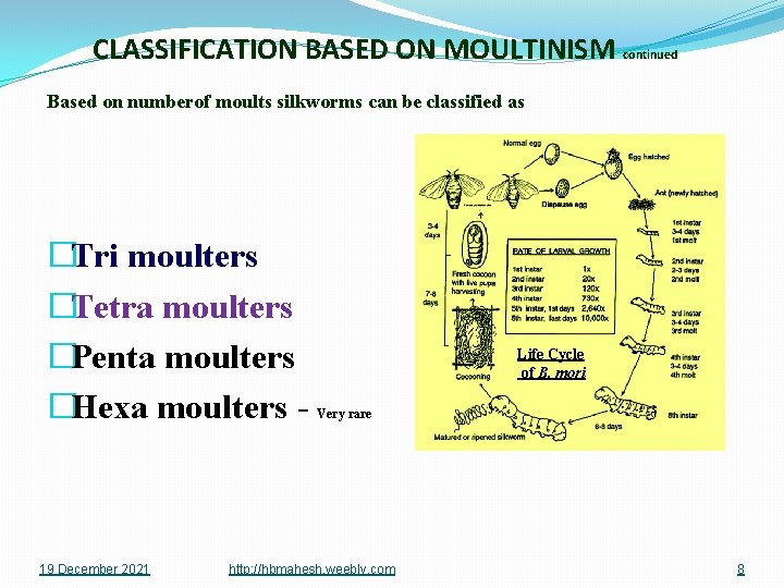 CLASSIFICATION BASED ON MOULTINISM continued Based on numberof moults silkworms can be classified as