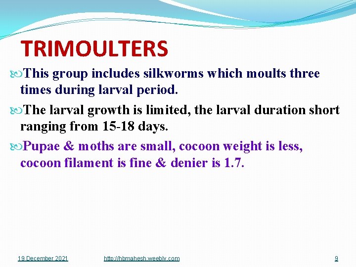 TRIMOULTERS This group includes silkworms which moults three times during larval period. The larval