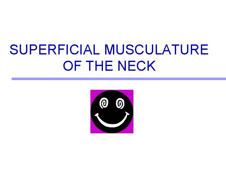 SUPERFICIAL MUSCULATURE OF THE NECK 