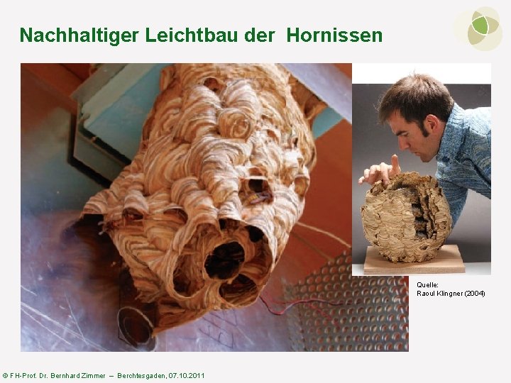Nachhaltiger Leichtbau der Hornissen Quelle: Raoul Klingner (2004) © FH-Prof. Dr. Bernhard Zimmer –