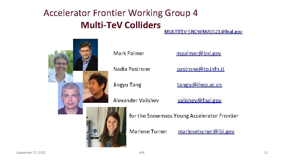 Accelerator Frontier Working Group 4 Multi-Te. V Colliders MULTITEV-SNOWMASS 21@fnal. gov Mark Palmer mpalmer@bnl.