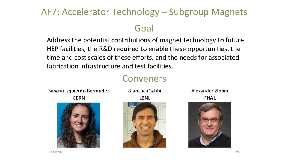 AF 7: Accelerator Technology – Subgroup Magnets Goal Address the potential contributions of magnet