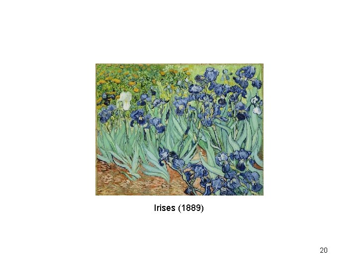 Irises (1889) 20 
