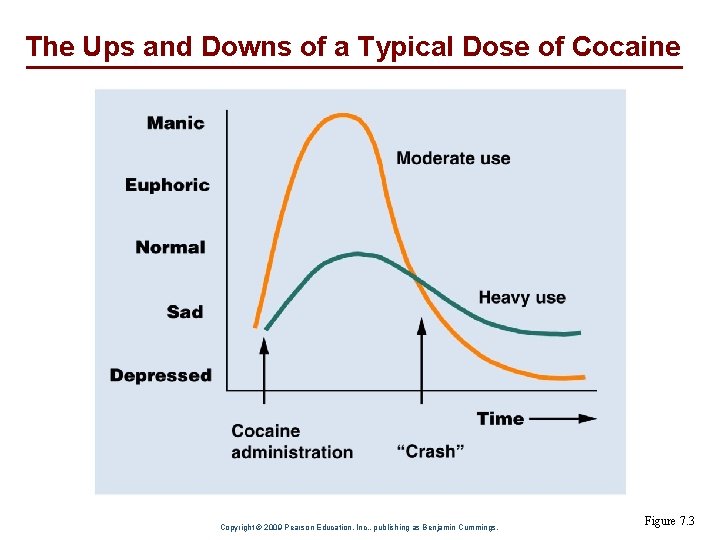 The Ups and Downs of a Typical Dose of Cocaine Copyright © 2009 Pearson