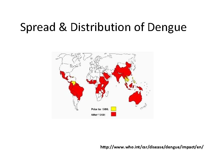Spread & Distribution of Dengue http: //www. who. int/csr/disease/dengue/impact/en/ 