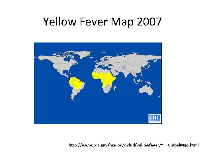 Yellow Fever Map 2007 http: //www. cdc. gov/ncidod/dvbid/yellowfever/YF_Global. Map. html 