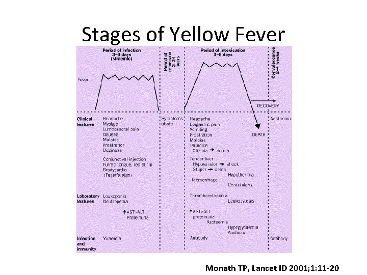 Stages of Yellow Fever Monath TP, Lancet ID 2001; 1: 11 -20 