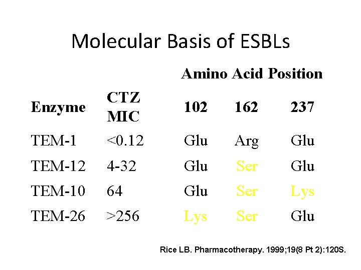 Molecular Basis of ESBLs Amino Acid Position TEM-1 CTZ MIC <0. 12 TEM-12 4