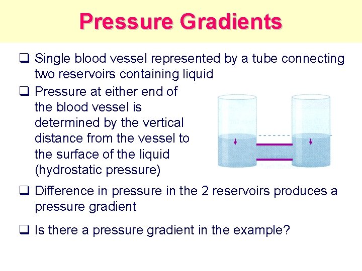 Pressure Gradients q Single blood vessel represented by a tube connecting two reservoirs containing