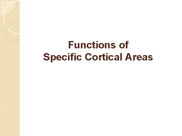 Functions of Specific Cortical Areas 