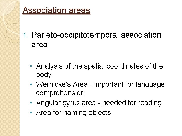 Association areas 1. Parieto-occipitotemporal association area • Analysis of the spatial coordinates of the