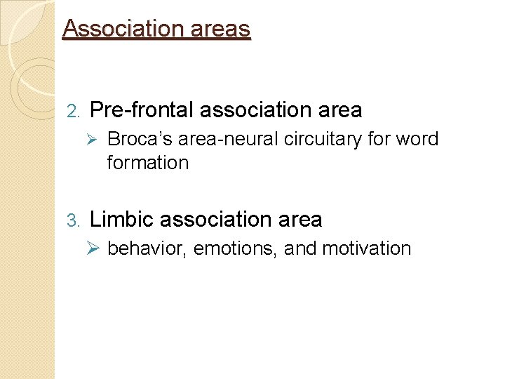 Association areas 2. Pre-frontal association area Ø 3. Broca’s area-neural circuitary for word formation
