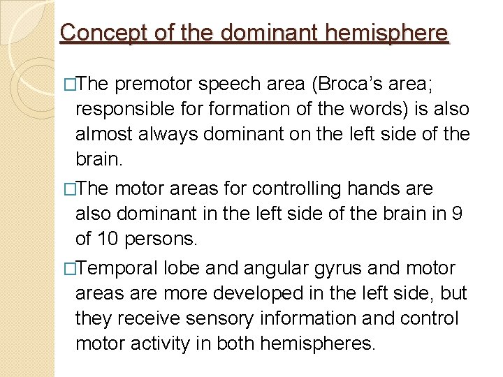Concept of the dominant hemisphere �The premotor speech area (Broca’s area; responsible formation of