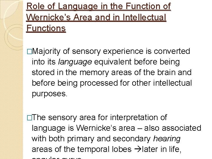 Role of Language in the Function of Wernicke’s Area and in Intellectual Functions �Majority