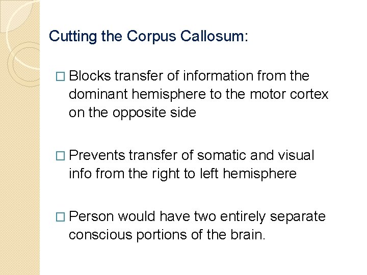 Cutting the Corpus Callosum: � Blocks transfer of information from the dominant hemisphere to