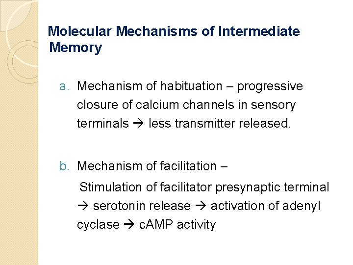 Molecular Mechanisms of Intermediate Memory a. Mechanism of habituation – progressive closure of calcium