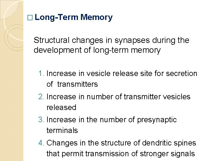 � Long-Term Memory Structural changes in synapses during the development of long-term memory 1.