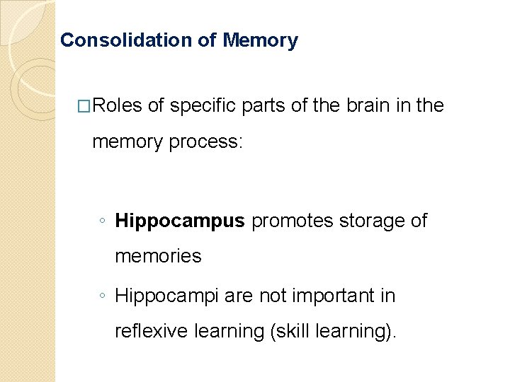 Consolidation of Memory �Roles of specific parts of the brain in the memory process: