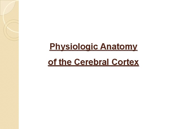 Physiologic Anatomy of the Cerebral Cortex 