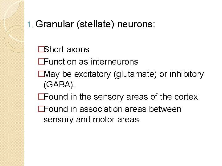 1. Granular (stellate) neurons: �Short axons �Function as interneurons �May be excitatory (glutamate) or
