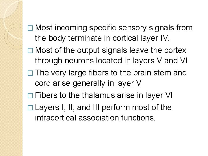 � Most incoming specific sensory signals from the body terminate in cortical layer IV.