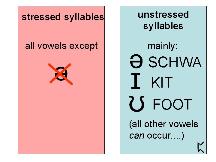 stressed syllables unstressed syllables all vowels except mainly: SCHWA KIT FOOT (all other vowels