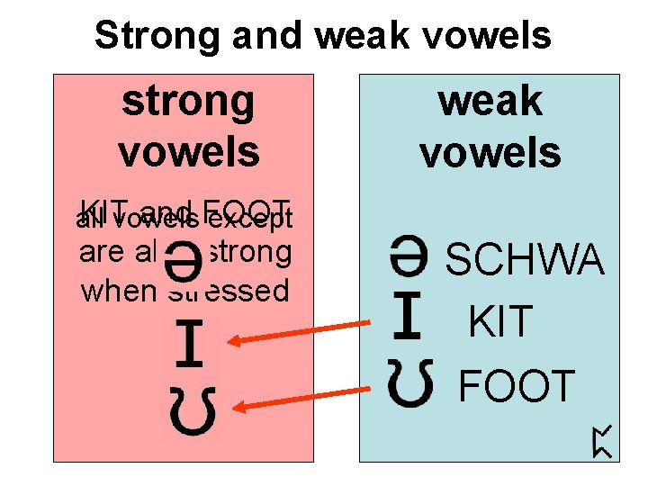 Strong and weak vowels strong vowels weak vowels KIT and FOOT all vowels except