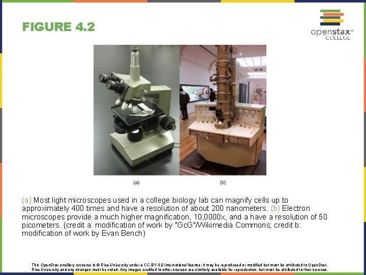 FIGURE 4. 2 (a) Most light microscopes used in a college biology lab can FIGURE 4. 2 (a) Most light microscopes used in a college biology lab can