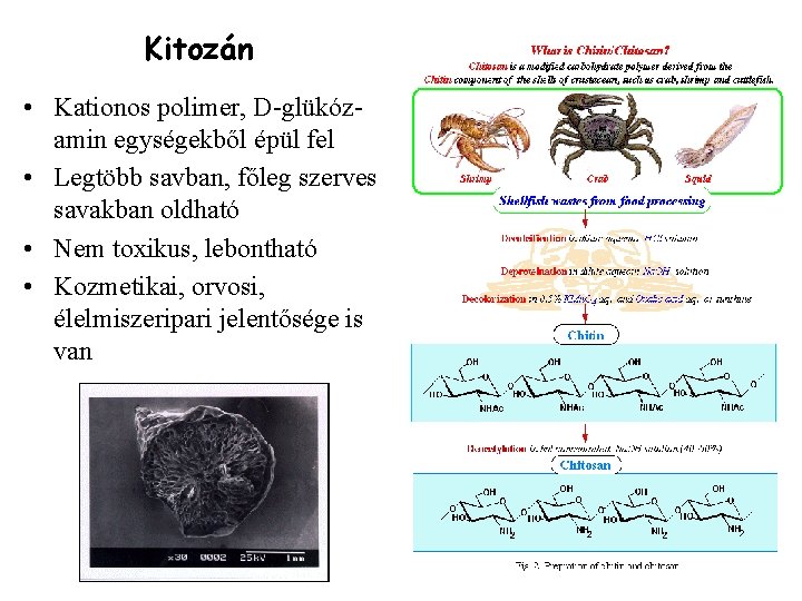 Kitozán • Kationos polimer, D-glükózamin egységekből épül fel • Legtöbb savban, főleg szerves savakban