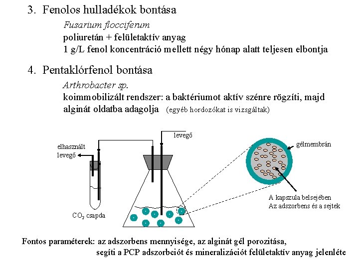 3. Fenolos hulladékok bontása Fusarium flocciferum poliuretán + felületaktív anyag 1 g/L fenol koncentráció