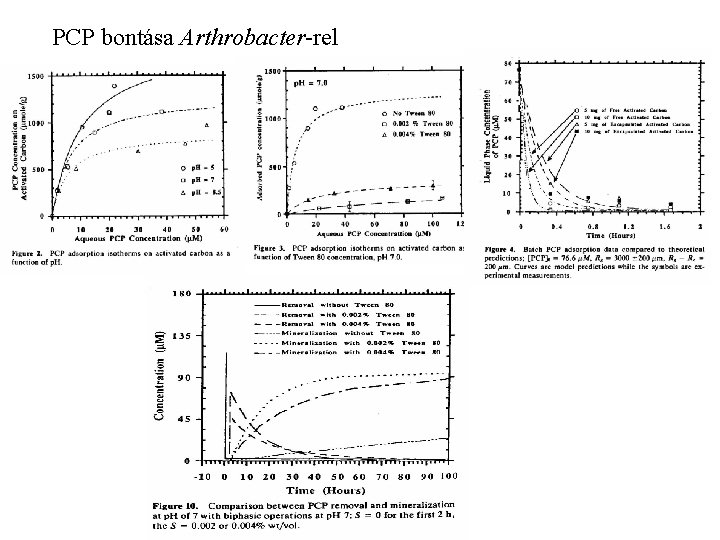 PCP bontása Arthrobacter-rel 