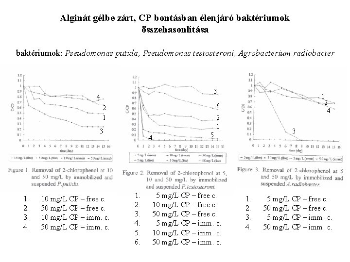 Alginát gélbe zárt, CP bontásban élenjáró baktériumok összehasonlítása baktériumok: Pseudomonas putida, Pseudomonas testosteroni, Agrobacterium