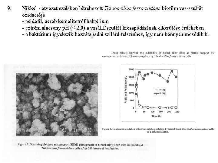 9. Nikkel - ötvözet szálakon létrehozott Thiobacillus ferrooxidans biofilm vas-szulfát oxidációja - acidofil, aerob