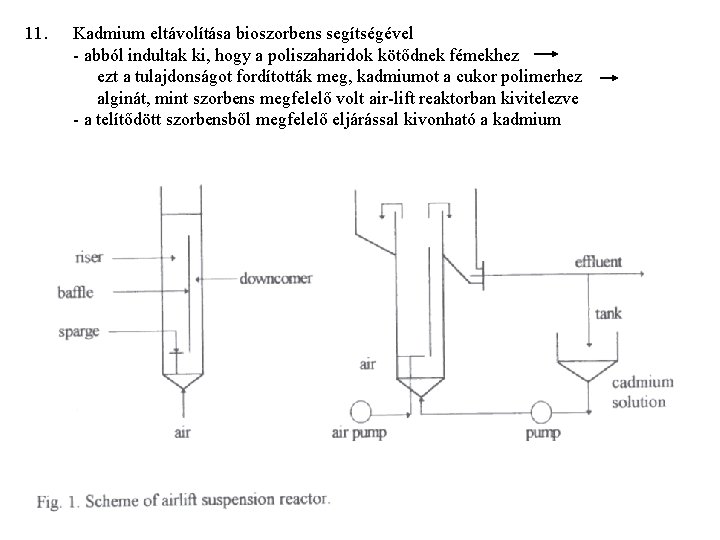 11. Kadmium eltávolítása bioszorbens segítségével - abból indultak ki, hogy a poliszaharidok kötődnek fémekhez