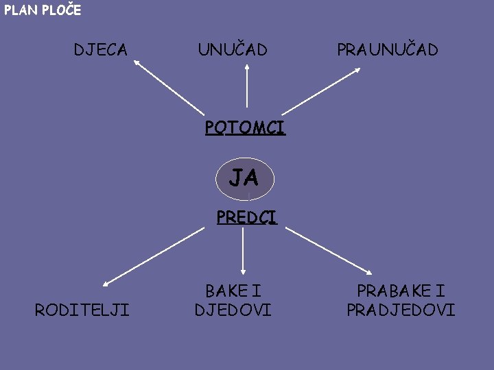 PLAN PLOČE DJECA UNUČAD PRAUNUČAD POTOMCI JA PREDCI RODITELJI BAKE I DJEDOVI PRABAKE I