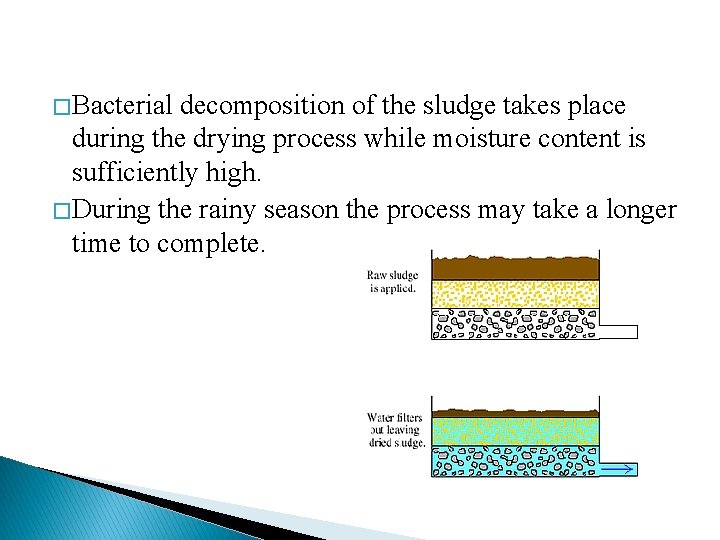 � Bacterial decomposition of the sludge takes place during the drying process while moisture