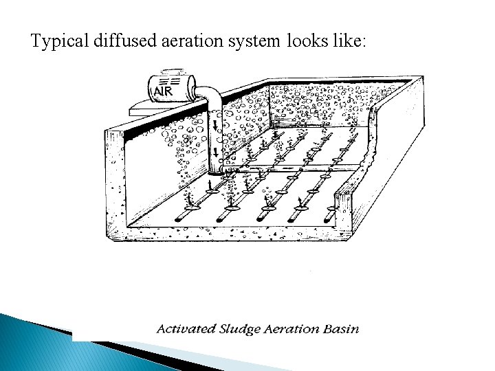 Typical diffused aeration system looks like: 