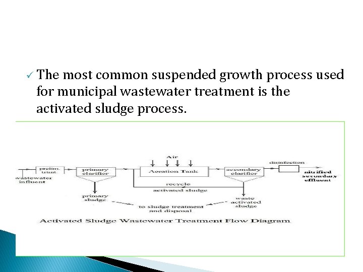 ü The most common suspended growth process used for municipal wastewater treatment is the