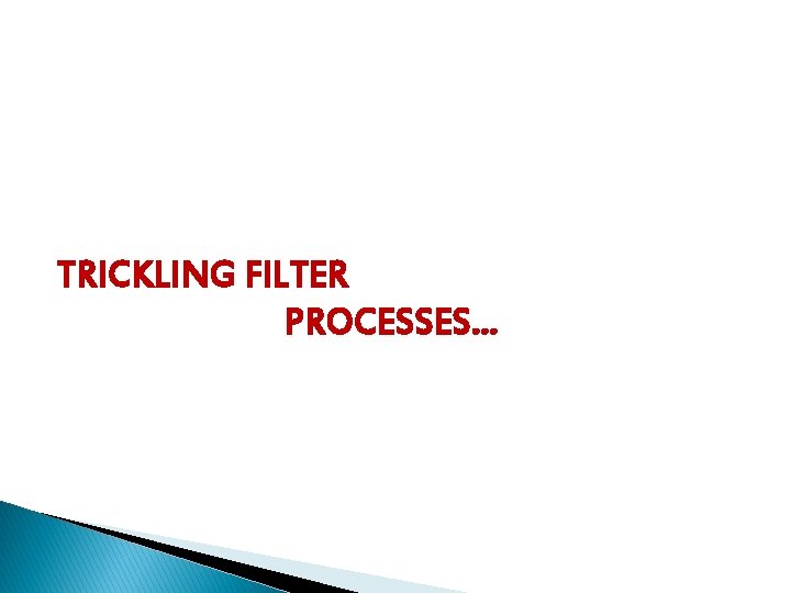TRICKLING FILTER PROCESSES… 