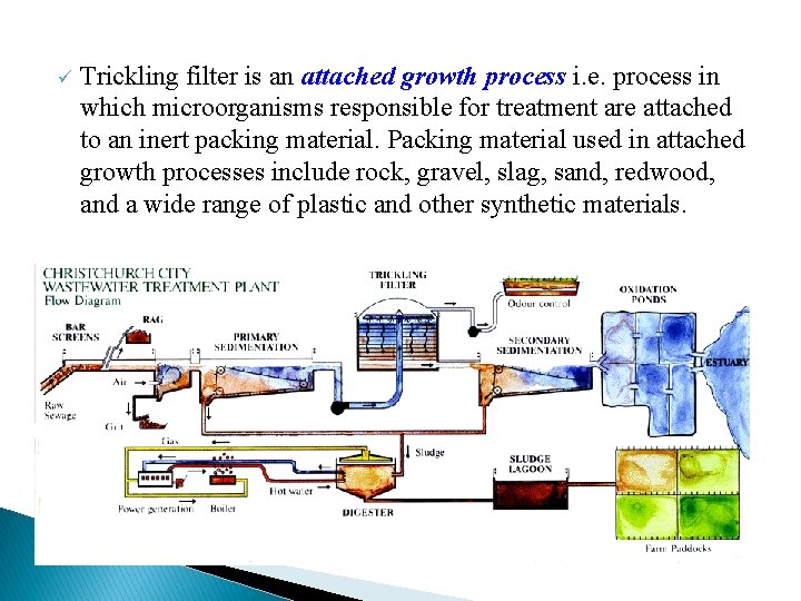 ü Trickling filter is an attached growth process i. e. process in which microorganisms