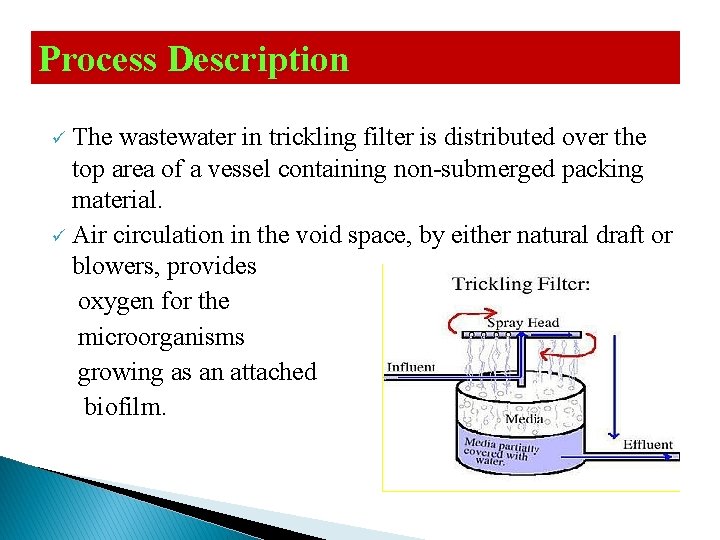 Process Description The wastewater in trickling filter is distributed over the top area of