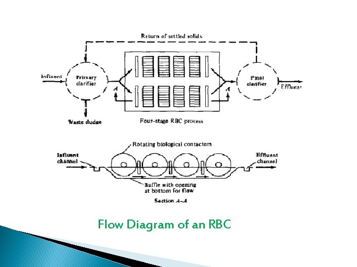 Flow Diagram of an RBC 