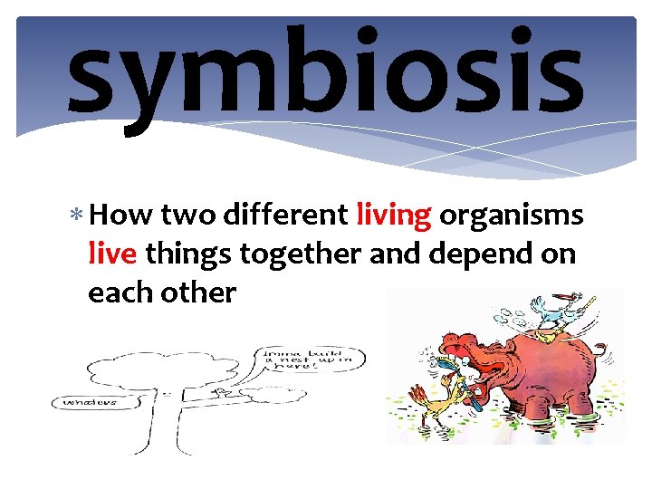 symbiosis How two different living organisms live things together and depend on each other