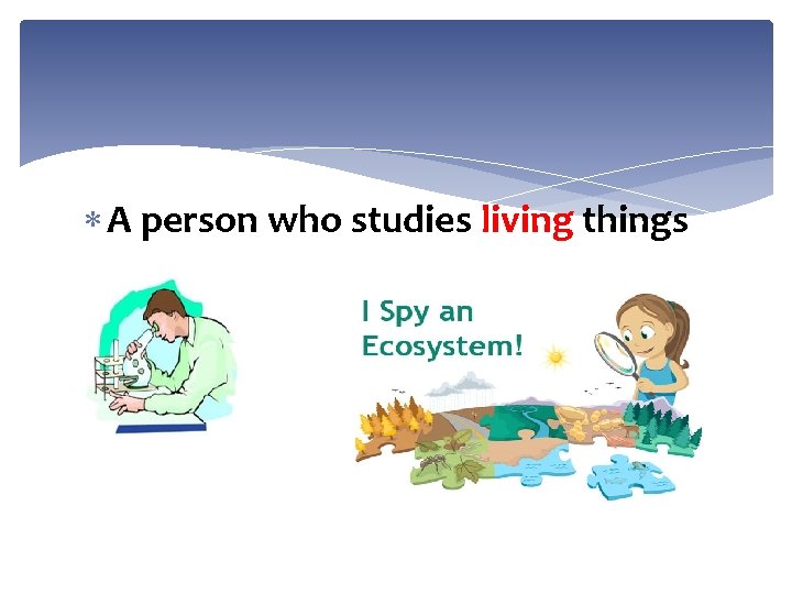  A person who studies living things 