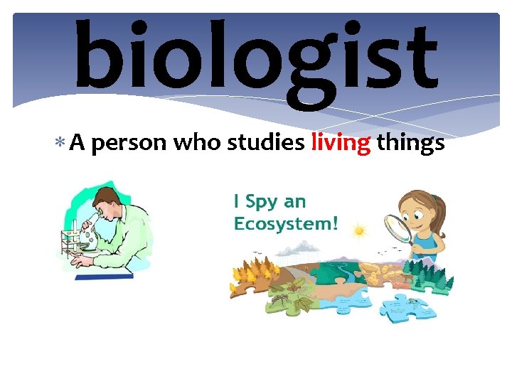 biologist A person who studies living things 